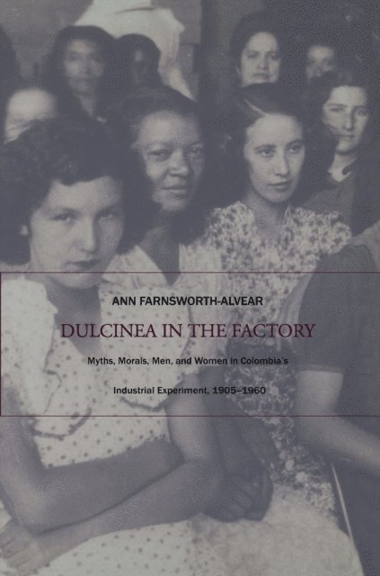 Ann Farnsworth-Alvear - Dulcinea in the Factory, E-bok