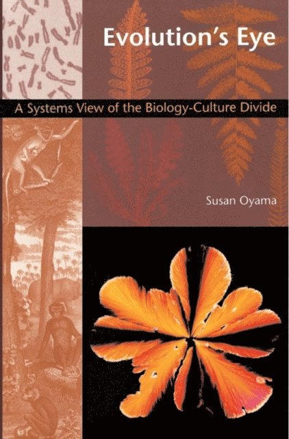 Susan Oyama - Evolution's Eye, E-bok