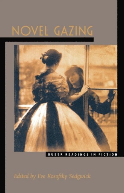 Eve Kosofsky Sedgwick - Novel Gazing, E-bok