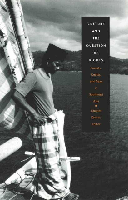 Charles Zerner - Culture and the Question of Rights, E-bok
