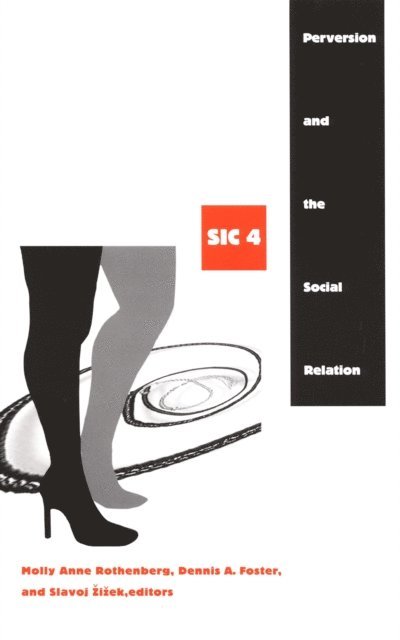 Slavoj Zizek, Dennis A. Foster, Molly Anne Rothenberg - Perversion and the Social Relation, E-bok
