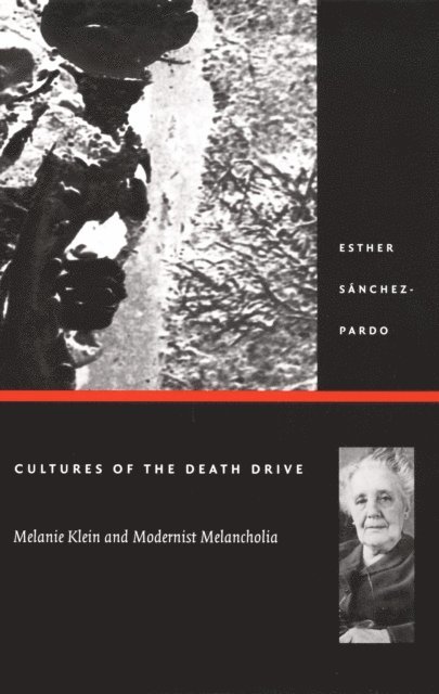 Esther Sanchez-Pardo - Cultures of the Death Drive, E-bok
