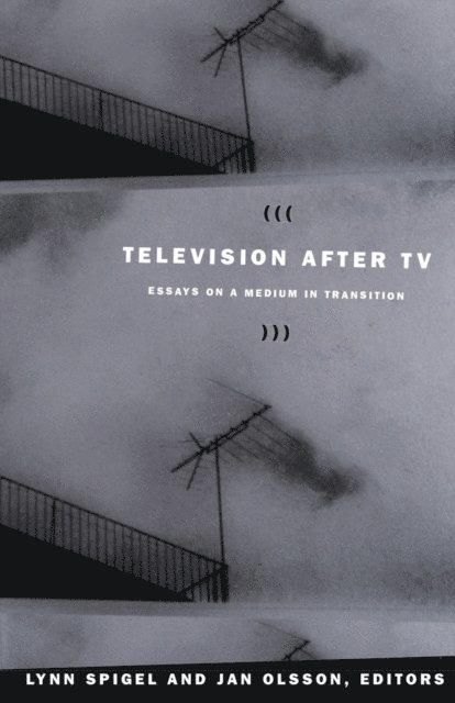Lynn Spigel, Jan Olsson - Television after TV, E-bok
