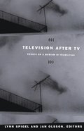 Television after TV
