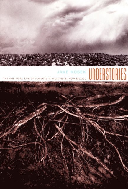 Jake Kosek - Understories, E-bok