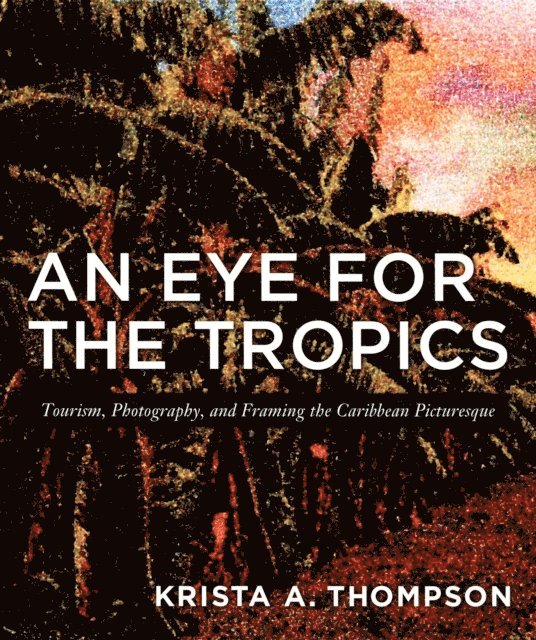 Krista A. Thompson - Eye for the Tropics, E-bok