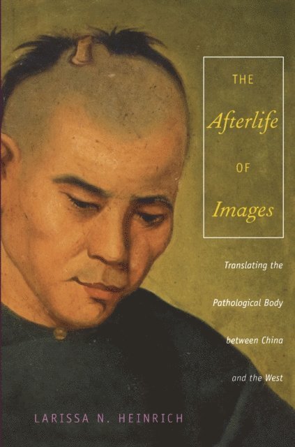 Ari Larissa Heinrich - Afterlife of Images, E-bok