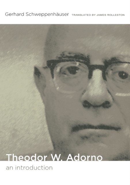 Gerhard Schweppenhauser - Theodor W. Adorno, E-bok