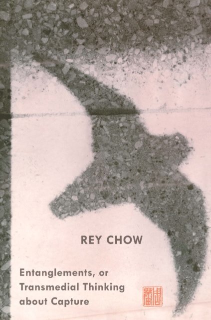Rey Chow - Entanglements, or Transmedial Thinking about Capture, E-bok