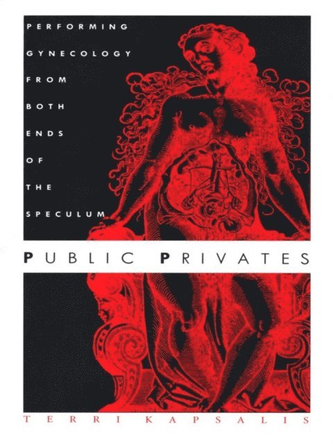 Terri Kapsalis - Public Privates, E-bok