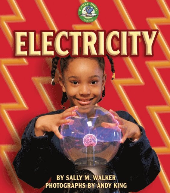 Sally M. Walker - Electricity, E-bok