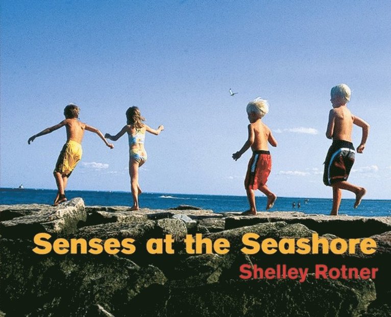 Shelley Rotner - Senses at the Seashore, E-bok