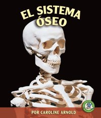 El sistema Ã³seo (The Skeletal System)