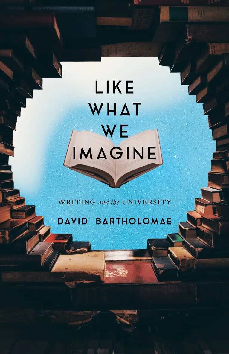 David Bartholomae - Like What We Imagine, Inbunden. Tillgänglighet: Lägg i varukorg