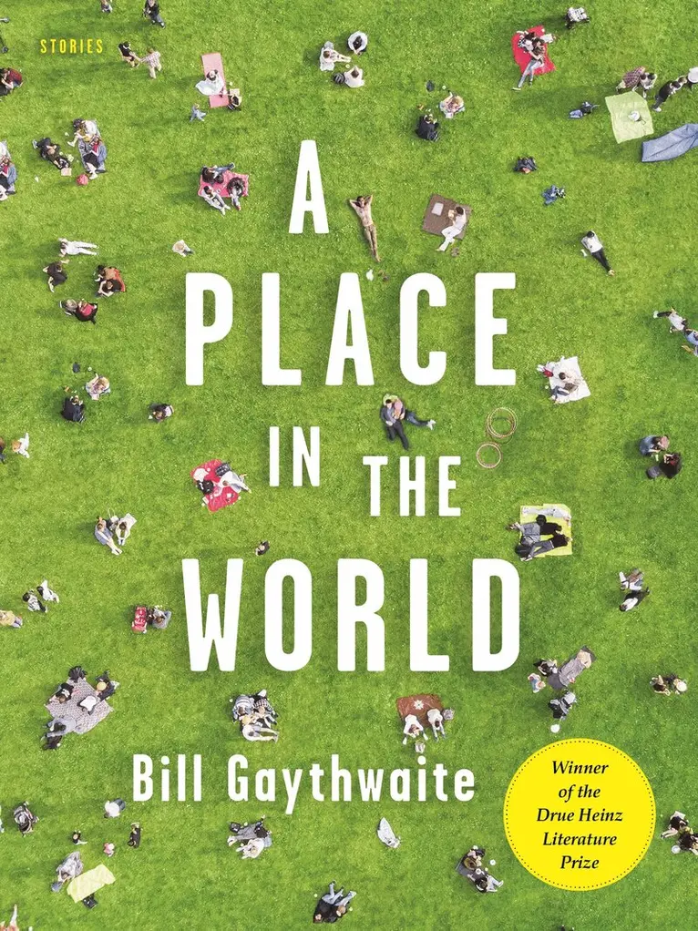 Bill Gaythwaite - Place in the World, Inbunden. Tillgänglighet: Lägg i varukorg