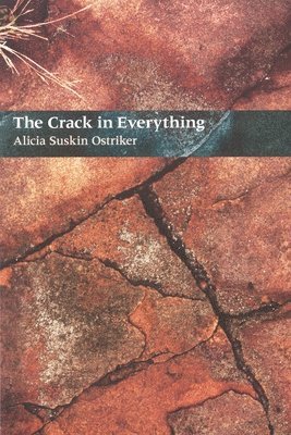 Alicia Suskin Ostriker - The Crack In Everything, Häftad