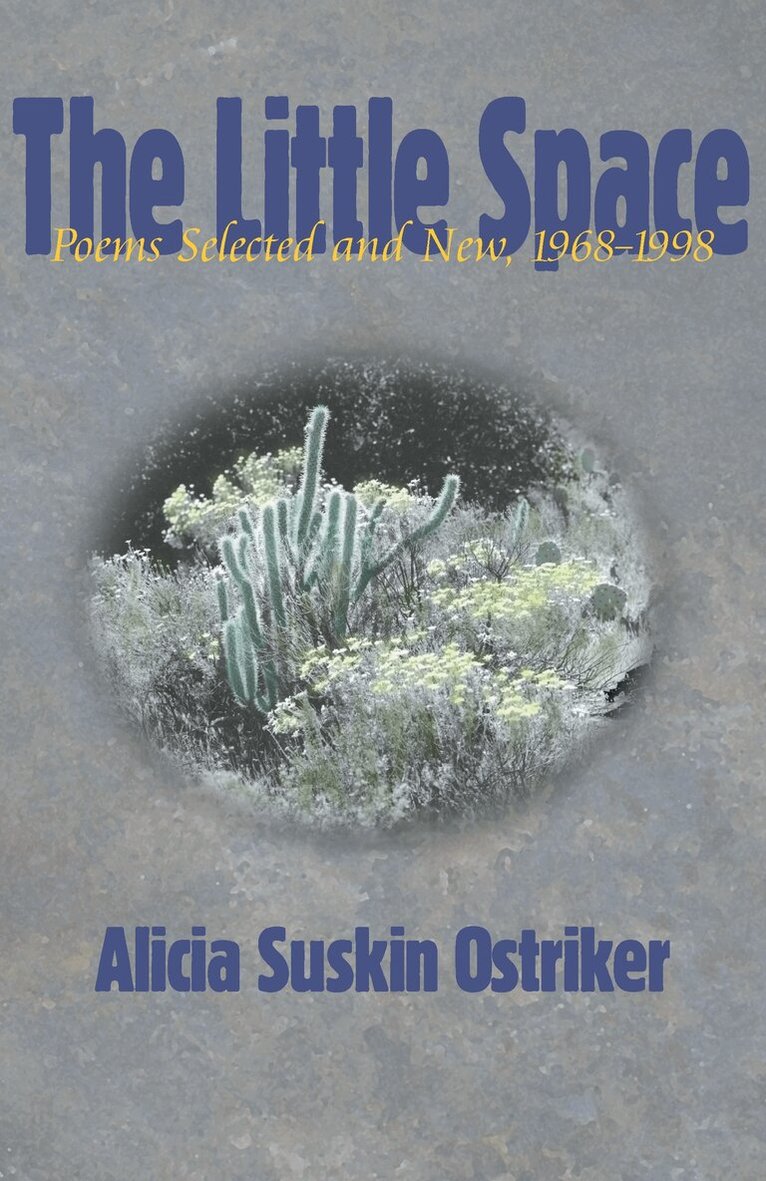 Alicia Suskin Ostriker - Little Space, Häftad. Tillgänglighet: Tillfälligt slut