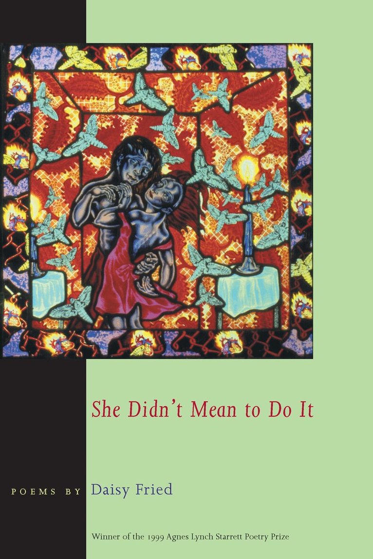 Daisy Fried - She Didn't Mean to Do It, Häftad