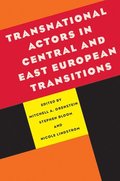 Transnational Actors in Central and East European Transitions