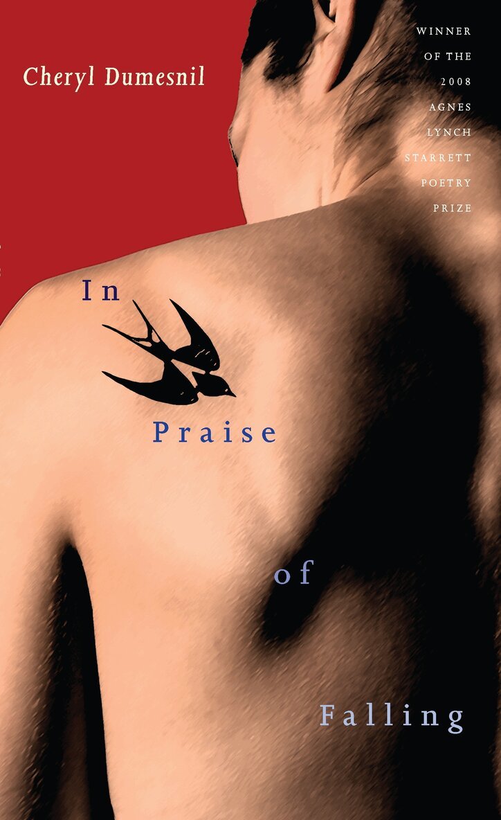 Cheryl Dumesnil - In Praise of Falling, Häftad. Tillgänglighet: Tillfälligt slut