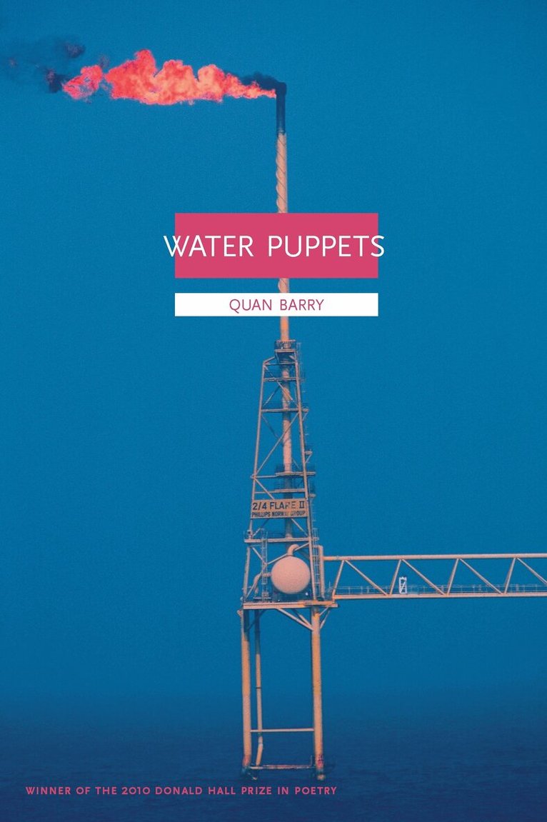 Quan Barry - Water Puppets, Häftad