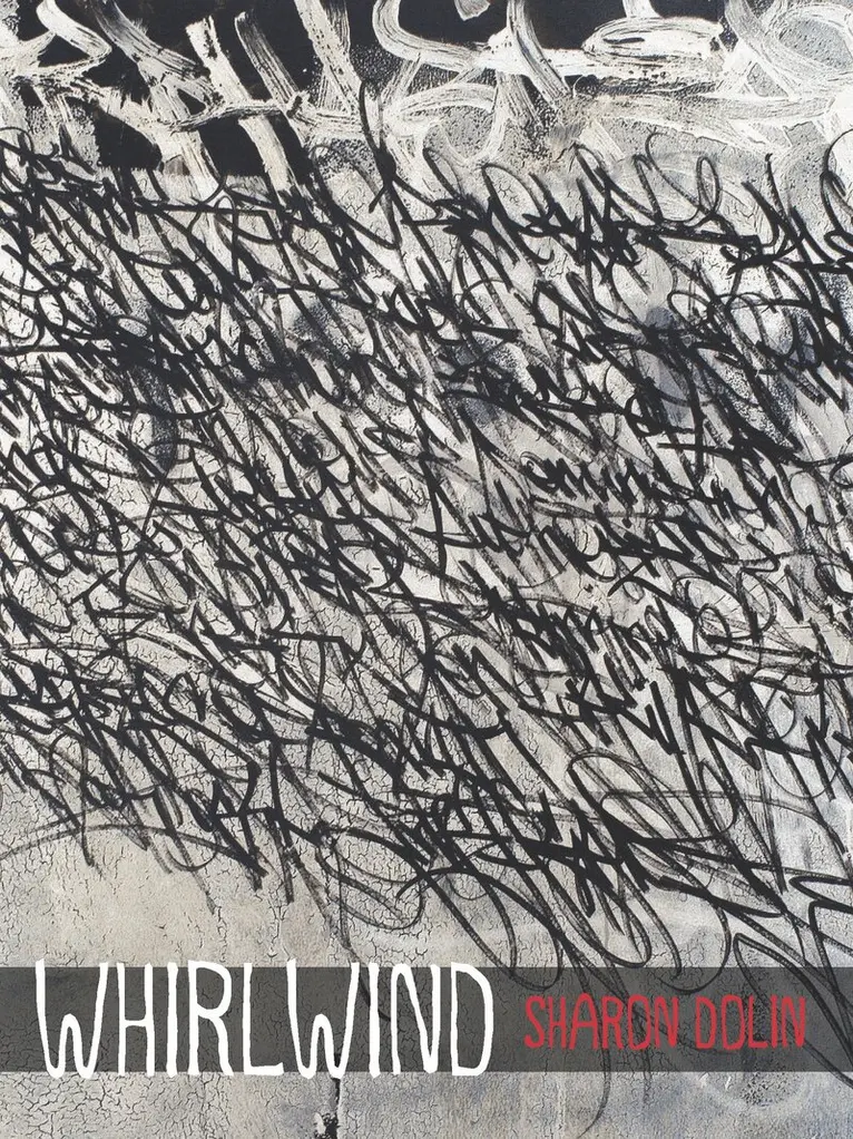 Sharon Dolin - Whirlwind, Häftad. Tillgänglighet: Lägg i varukorg