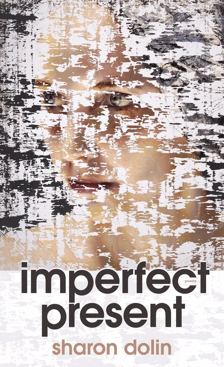 Sharon Dolin - Imperfect Present, Häftad. Tillgänglighet: Lägg i varukorg