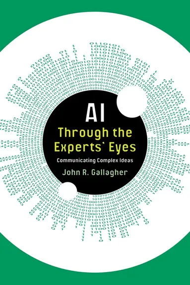 AI Through the Experts' Eyes