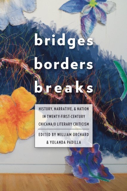 Yolanda Padilla, William Orchard - Bridges, Borders, and Breaks, E-bok