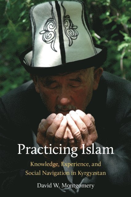 David W. Montgomery - Practicing Islam, E-bok