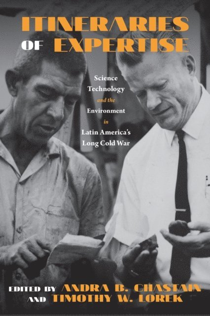 Timothy W. Lorek, Andra B. Chastain - Itineraries of Expertise, E-bok
