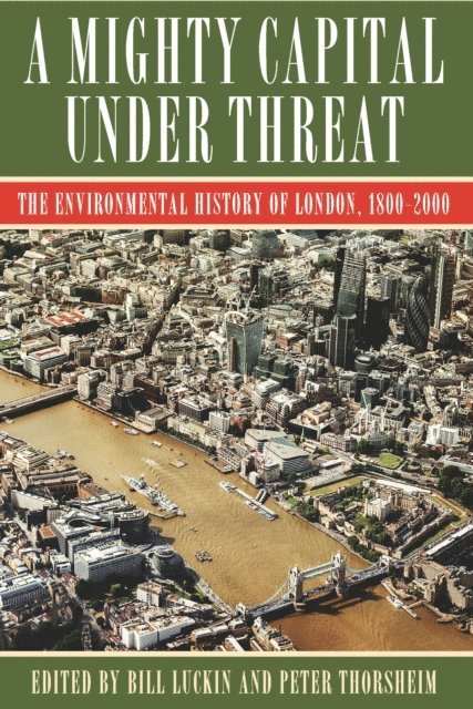Peter Thorsheim, Bill Luckin - Mighty Capital under Threat, E-bok