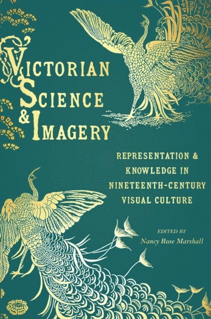 Nancy Rose Marshall - Victorian Science and Imagery, E-bok