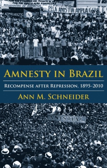Ann M. Schneider - Amnesty in Brazil, E-bok