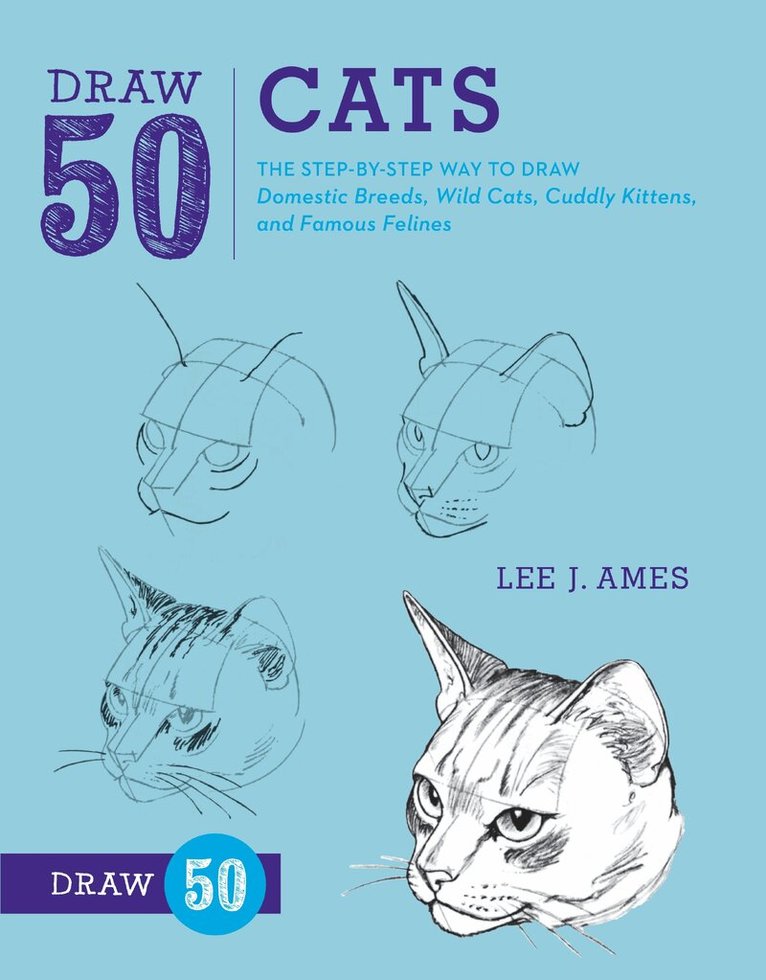 L Ames - Draw 50 Cats, Häftad