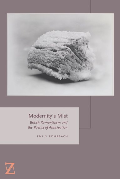 Modernity's Mist av Emily Rohrbach