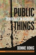 Public Things