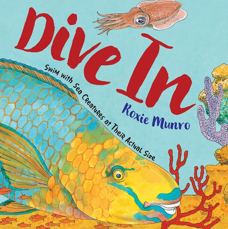 Roxie Munro - Dive In, Inbunden
