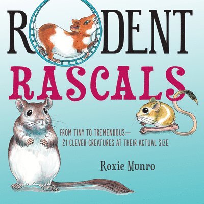 Roxie Munro - Rodent Rascals, Häftad
