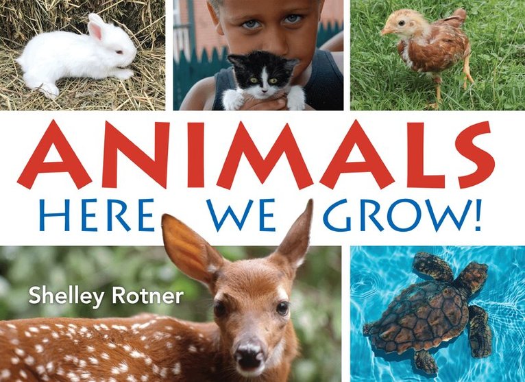 Shelley Rotner - Animals!, Häftad