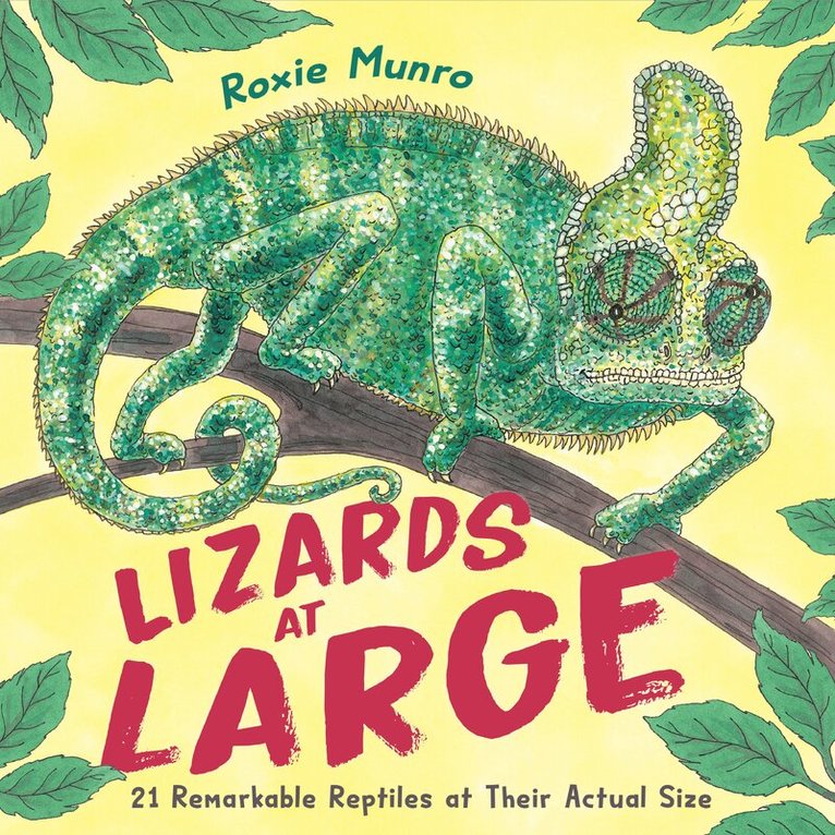 Roxie Munro - Lizards at Large, Häftad