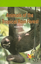 Joanne Mattern - Animals of the Tropical Rain Forest, Häftad