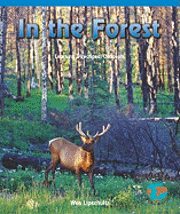 Janet Carson - In the Forest, Häftad