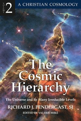 The Cosmic Hierarchy 2 The Universe and Its Many Irreducible Levels