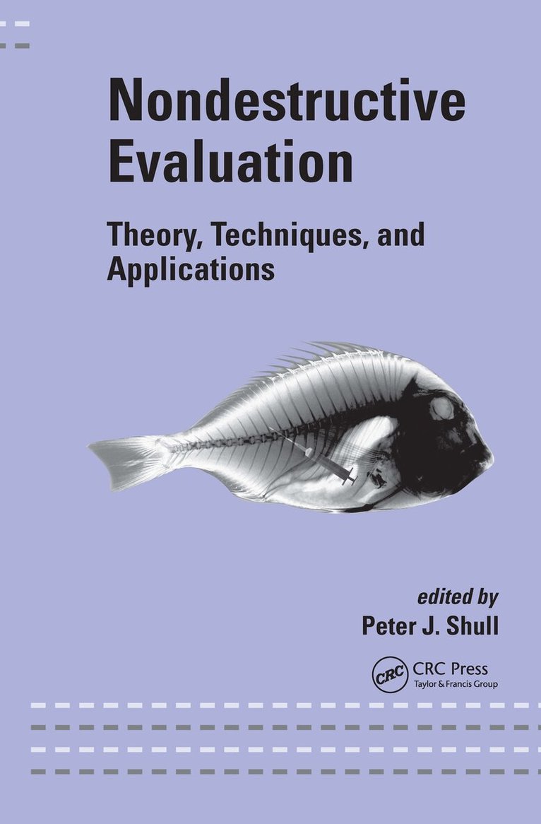 Peter J. Shull - Nondestructive Evaluation, Inbunden
