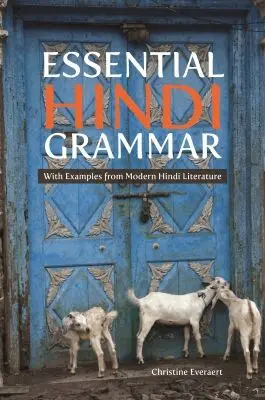 Christine Everaert - Essential Hindi Grammar, Häftad. Tillgänglighet: Tillfälligt slut
