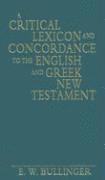 Critical Lexicon and Concordance to the English and Greek New Testament av E W Bullinger
