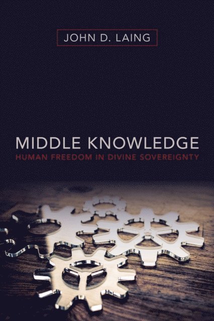 John D. Laing - Middle Knowledge, E-bok