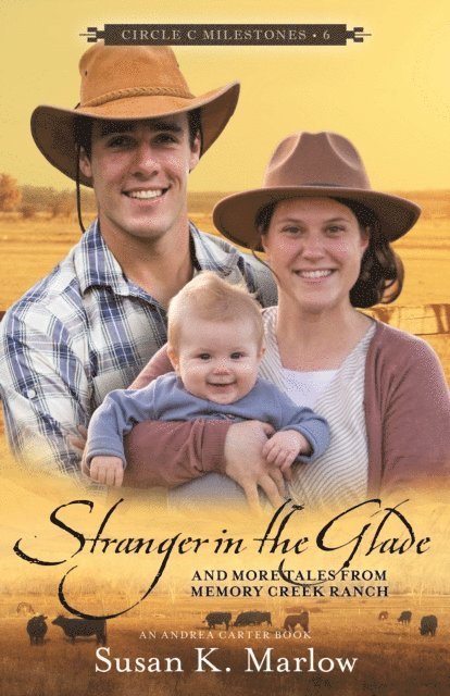 Susan K. Marlow - Stranger in the Glade, E-bok