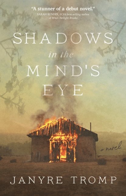 Janyre Tromp - Shadows in the Mind's Eye, E-bok